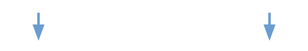 alt_text